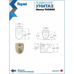 Унитаз подвесной Teymi Hanna T40900 безободковый
