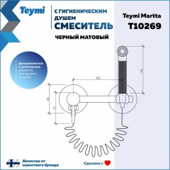 Смеситель с гигиеническим душем встраиваемый Teymi Martta T10269