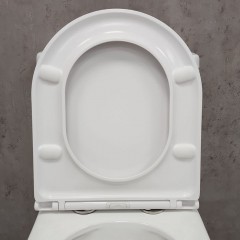 Унитаз Bloomix Access AD3124T/UF1 Ceramic+ безободковый торнадо