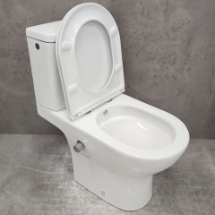 Унитаз Bloomix Access AD3124SBT/UF1 Ceramic+ безободковый торнадо с функцией биде и смесителем