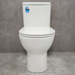 Унитаз Bloomix Access AD3124SBT/UF1 Ceramic+ безободковый торнадо с функцией биде и смесителем