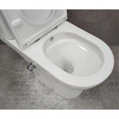 Унитаз Bloomix Access AD3124SBT/UF1 Ceramic+ безободковый торнадо с функцией биде и смесителем