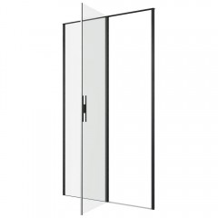 Душевая дверь Allen Brau Priority 100 3.31030.BBA