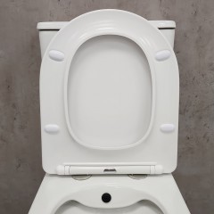 Унитаз Bloomix Alan 1219SB bidet black безободковый с функцией биде и смесителем