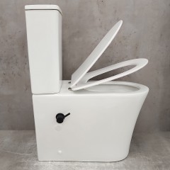 Унитаз Bloomix Alan 1219SB bidet black безободковый с функцией биде и смесителем