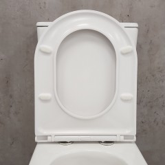 Унитаз Bloomix Barron 3.0 3091T/UF1 Ceramic+ безободковый торнадо