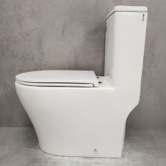 Унитаз Bloomix S-Class 3.0 2379TVV/UF1 моноблок безободковый торнадо вертикальный выпуск