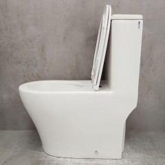 Унитаз Bloomix S-Class 3.0 2379TVV/UF1 моноблок безободковый торнадо вертикальный выпуск