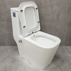 Унитаз Bloomix S-Line 2324SB/UF3 моноблок безободковый с функцией биде и смесителем