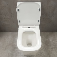 Унитаз Bloomix S-Line 2324SB/UF3 моноблок безободковый с функцией биде и смесителем