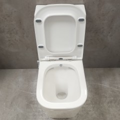 Унитаз Bloomix S-Line 2324SB/UF3 моноблок безободковый с функцией биде и смесителем