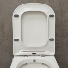 Унитаз Bloomix S-Line 2324SB/UF3 моноблок безободковый с функцией биде и смесителем