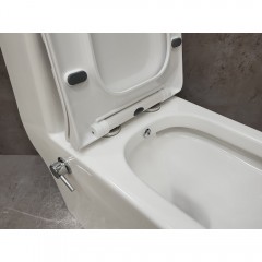 Унитаз Bloomix S-Line 2324SB/UF3 моноблок безободковый с функцией биде и смесителем