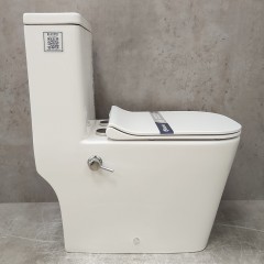 Унитаз Bloomix S-Line 2324SB/UF3 моноблок безободковый с функцией биде и смесителем