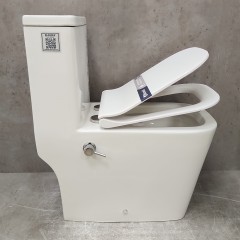 Унитаз Bloomix S-Line 2324SB/UF3 моноблок безободковый с функцией биде и смесителем