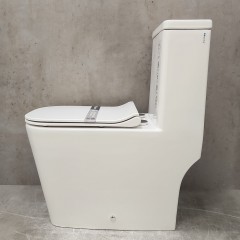 Унитаз Bloomix S-Line 2324SB/UF3 моноблок безободковый с функцией биде и смесителем