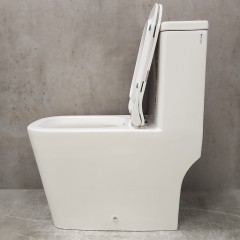 Унитаз Bloomix S-Line 2324SB/UF3 моноблок безободковый с функцией биде и смесителем