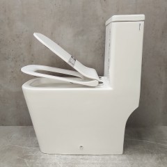 Унитаз Bloomix S-Line 2324SB/UF3 моноблок безободковый с функцией биде и смесителем