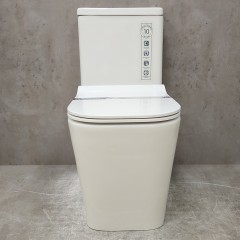 Унитаз Bloomix S-Line 2324SB/UF3 моноблок безободковый с функцией биде и смесителем