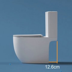 Унитаз Cerutti Taddeo Tornado CT12035 безободковый