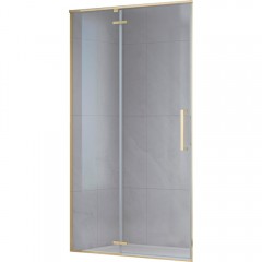 Душевая дверь Royal Bath Bern-V RB100-T-GD 100x195