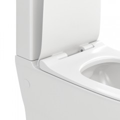 Унитаз Watersense Jessie безободковый