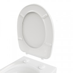 Крышка-сиденье для унитаза Watersense Aurora RL PP