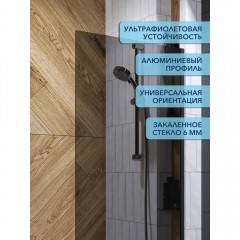 Шторка на ванну Watersense Paula 60 чёрный матовый тонированное