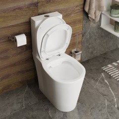 Унитаз Iddis Calipso CALRDSEi24 безободковый