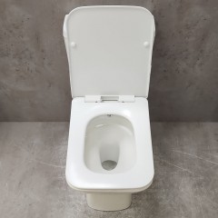 Унитаз Bloomix Bravos MT3127TSB/UF1 безободковый торнадо с функцией биде и смесителем