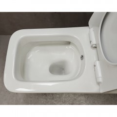 Унитаз Bloomix Bravos MT3127TSB/UF1 безободковый торнадо с функцией биде и смесителем
