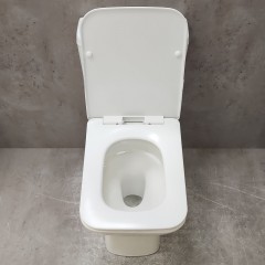 Унитаз Bloomix Bravos 3.0 MT3127T/UF1 безободковый торнадо