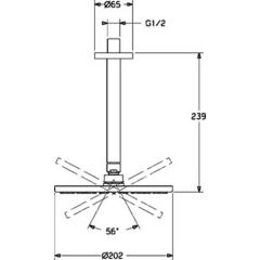 Верхний душ Hansa Viva 44270100