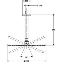 Верхний душ Hansa Viva 44270300