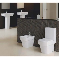Тюльпан BelBagno Mattino