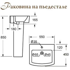 Тюльпан BelBagno Mattino