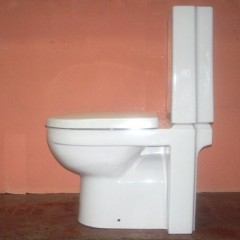 Унитаз Gustavsberg Artic 4310 (GB114310301231) (без сиденья)