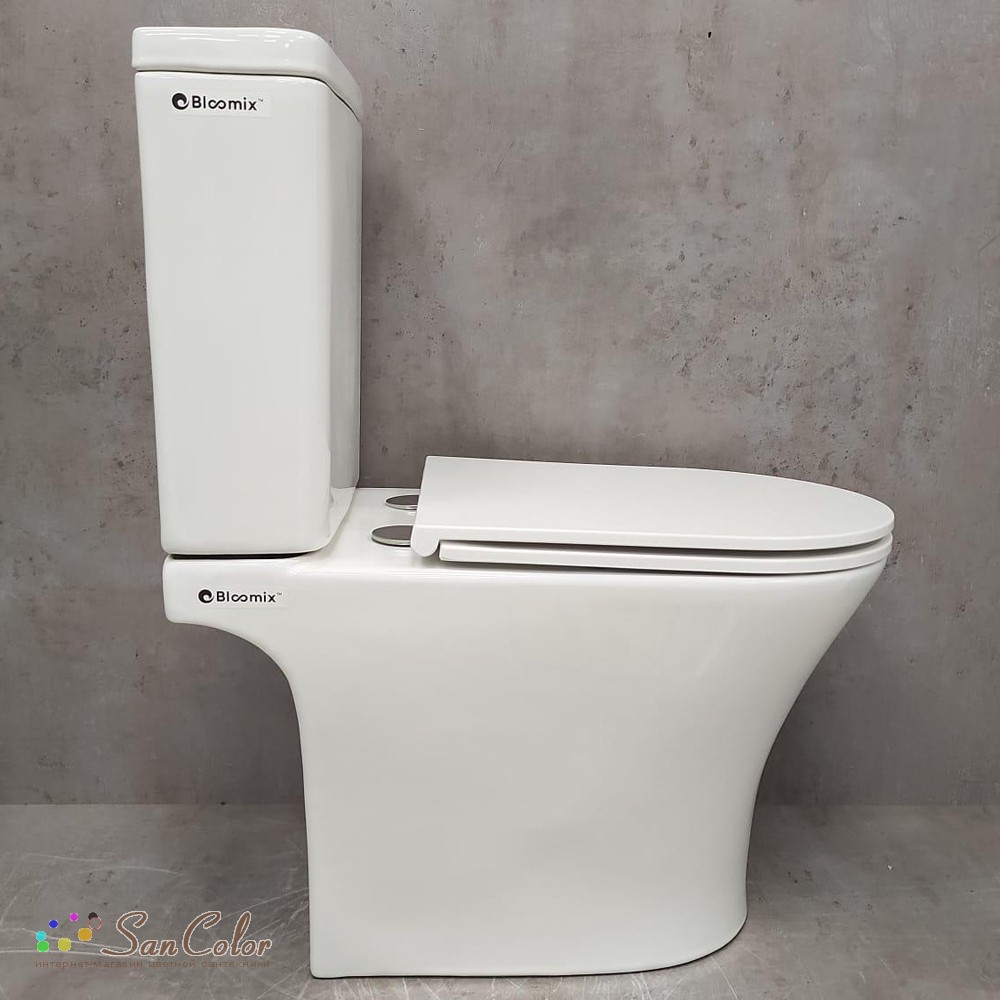Унитаз Bloomix S-Line 5010VV безободковый вертикальный выпуск (артикул ...