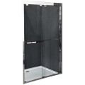 Душевая дверь Royal Bath RBF2011 1200x2000
