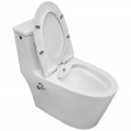 Унитаз Bloomix Lowe MT3101RSB/UF1 Ceramic+ моноблок безободковый с функцией биде и смесителем