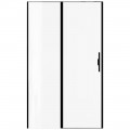 Душевая дверь Allen Brau Priority 120 3.31033.BBA