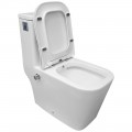 Унитаз Bloomix S-Line 2324SB/UF3 моноблок безободковый с функцией биде и смесителем