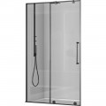 Душевая дверь Royal Bath Bern-S RB100-T-BL 100x195