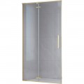 Душевая дверь Royal Bath Bern-V RB100-T-GD 100x195