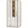 Душевое ограждение Royal Bath BERN-V RB8100-T-GD