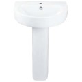 Тюльпан BelBagno Flay