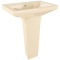 Тюльпан Arcus 330 ivory